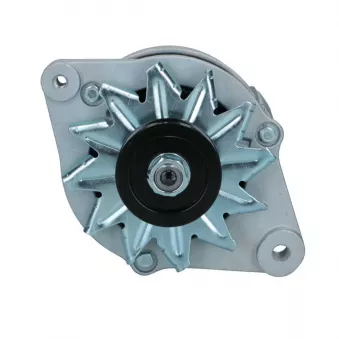Alternateur BV PSH 165.009.067.058
