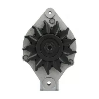 Alternateur BV PSH 165.009.067.325