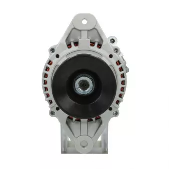 Alternateur BV PSH 165.011.060.080