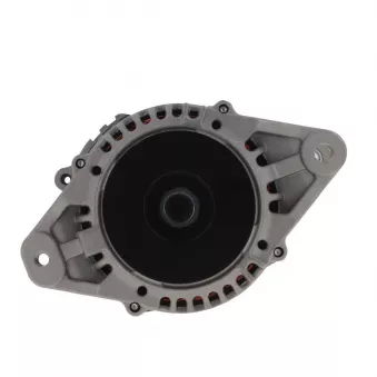 Alternateur BV PSH 165.011.060.088