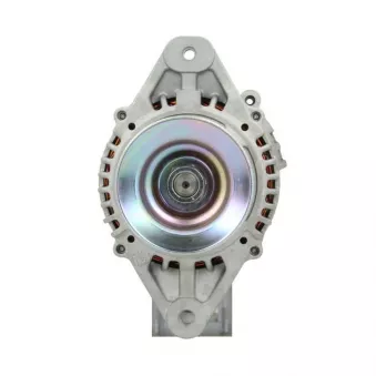 Alternateur BV PSH 165.011.060.270