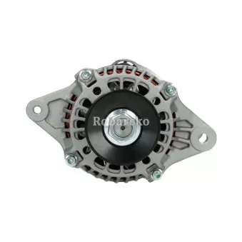 Alternateur BV PSH 165.512.050.139