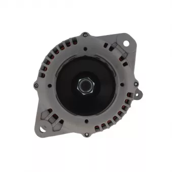 Alternateur BV PSH 165.523.090.088