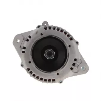 Alternateur BV PSH 165.523.090.089