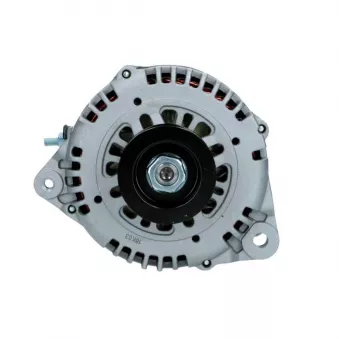 Alternateur BV PSH 165.525.110.089