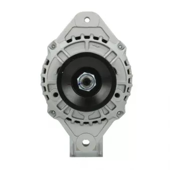 Alternateur BV PSH 165.534.070.010