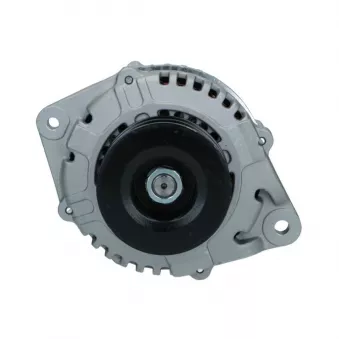 Alternateur BV PSH 165.535.100.138