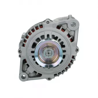 Alternateur BV PSH 165.539.090.273