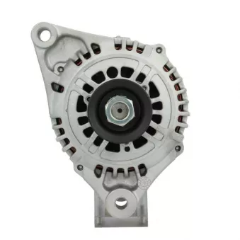 Alternateur BV PSH 165.543.065.415