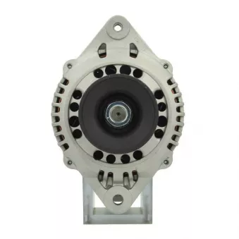 Alternateur BV PSH 165.548.070.415