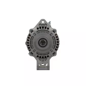Alternateur BV PSH 165.550.110.130