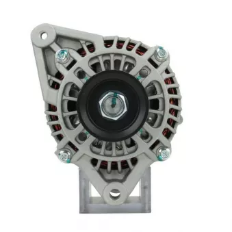 Alternateur BV PSH 165.553.090.130