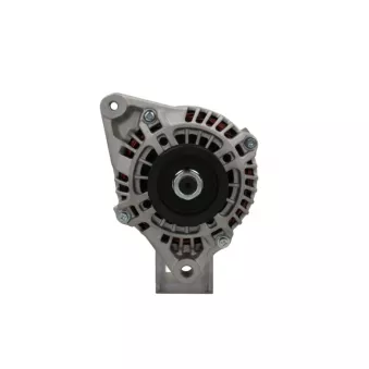Alternateur BV PSH 165.553.100.415