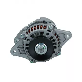Alternateur BV PSH 165.555.035.138