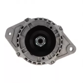 Alternateur BV PSH 165.573.070.018