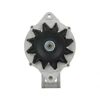 Alternateur BV PSH 165.603.070.415