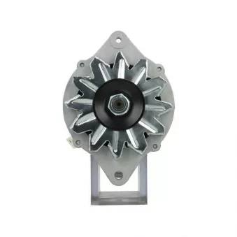 Alternateur BV PSH 165.805.040.080