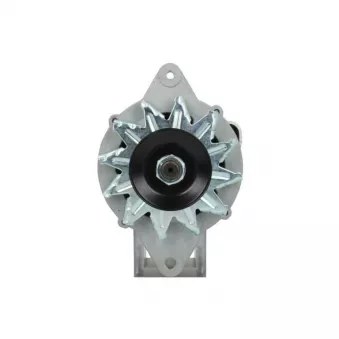 Alternateur BV PSH 165.809.040.080