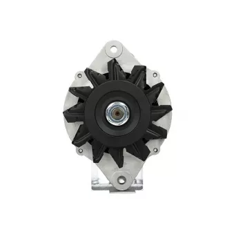 Alternateur BV PSH 165.810.070.415