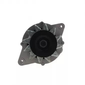 Alternateur BV PSH 165.811.070.089