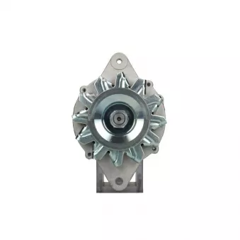 Alternateur BV PSH 165.813.050.080