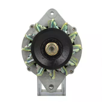 Alternateur BV PSH 165.814.070.265