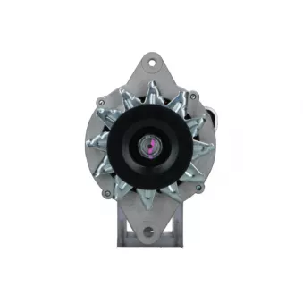 Alternateur BV PSH 165.822.090.080