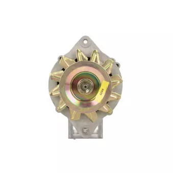 Alternateur BV PSH 165.822.090.265