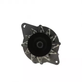 Alternateur BV PSH 165.823.060.088