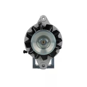 Alternateur BV PSH 165.830.055.360