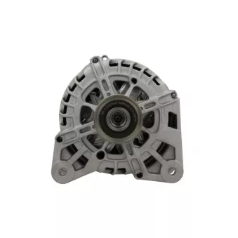 Alternateur BV PSH 165.906.150.000