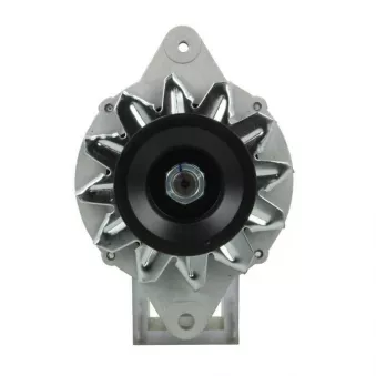 Alternateur BV PSH 166.004.025.080