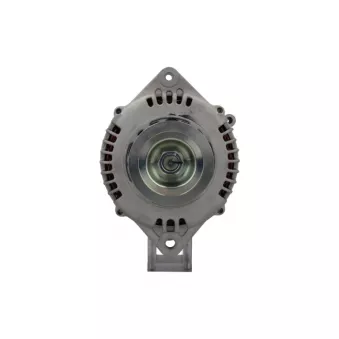 Alternateur BV PSH 166.503.080.080