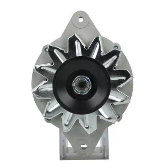 Alternateur BV PSH 175.001.055.080