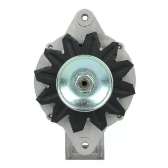 Alternateur BV PSH 175.002.050.415