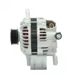 Alternateur BV PSH 175.510.080.130 - Visuel 2
