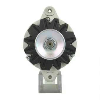 Alternateur BV PSH 185.002.040.415