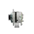 Alternateur BV PSH 195.002.030.050 - Visuel 2