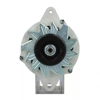 Alternateur BV PSH 195.012.055.050