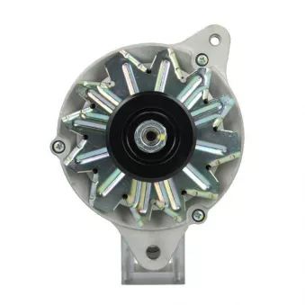 Alternateur BV PSH 195.016.050.415