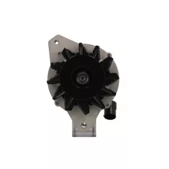 Alternateur BV PSH 195.019.080.050