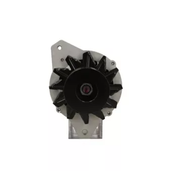 Alternateur BV PSH 195.019.080.056