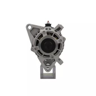 Alternateur BV PSH 195.324.080.050