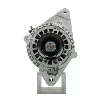 Alternateur BV PSH 195.573.070.260