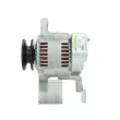 Alternateur BV PSH 195.577.050.050 - Visuel 2