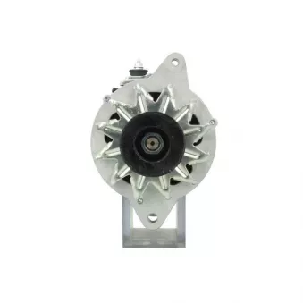 Alternateur BV PSH 195.808.060.050