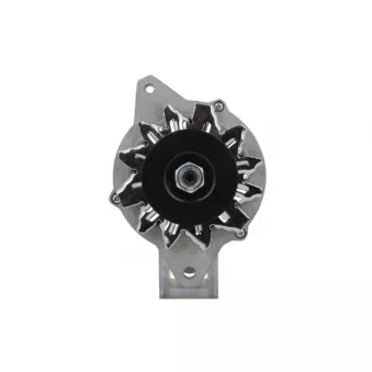 Alternateur BV PSH 196.002.015.050