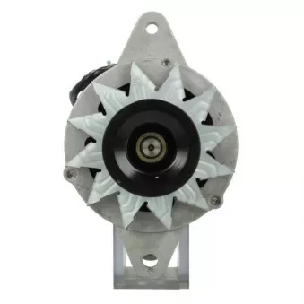 Alternateur BV PSH 196.003.050.050