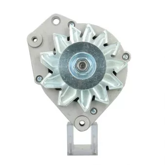 Alternateur BV PSH 205.006.090.010