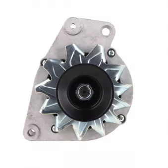 Alternateur BV PSH 205.010.065.018